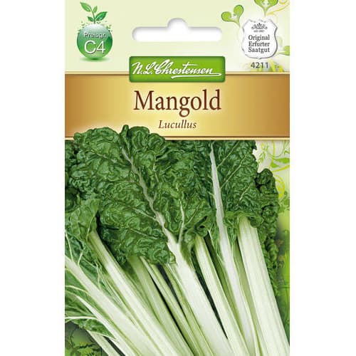 1 szt, Mangold Lucullus - Samen: Ilość w opakowaniu: 1 Stück