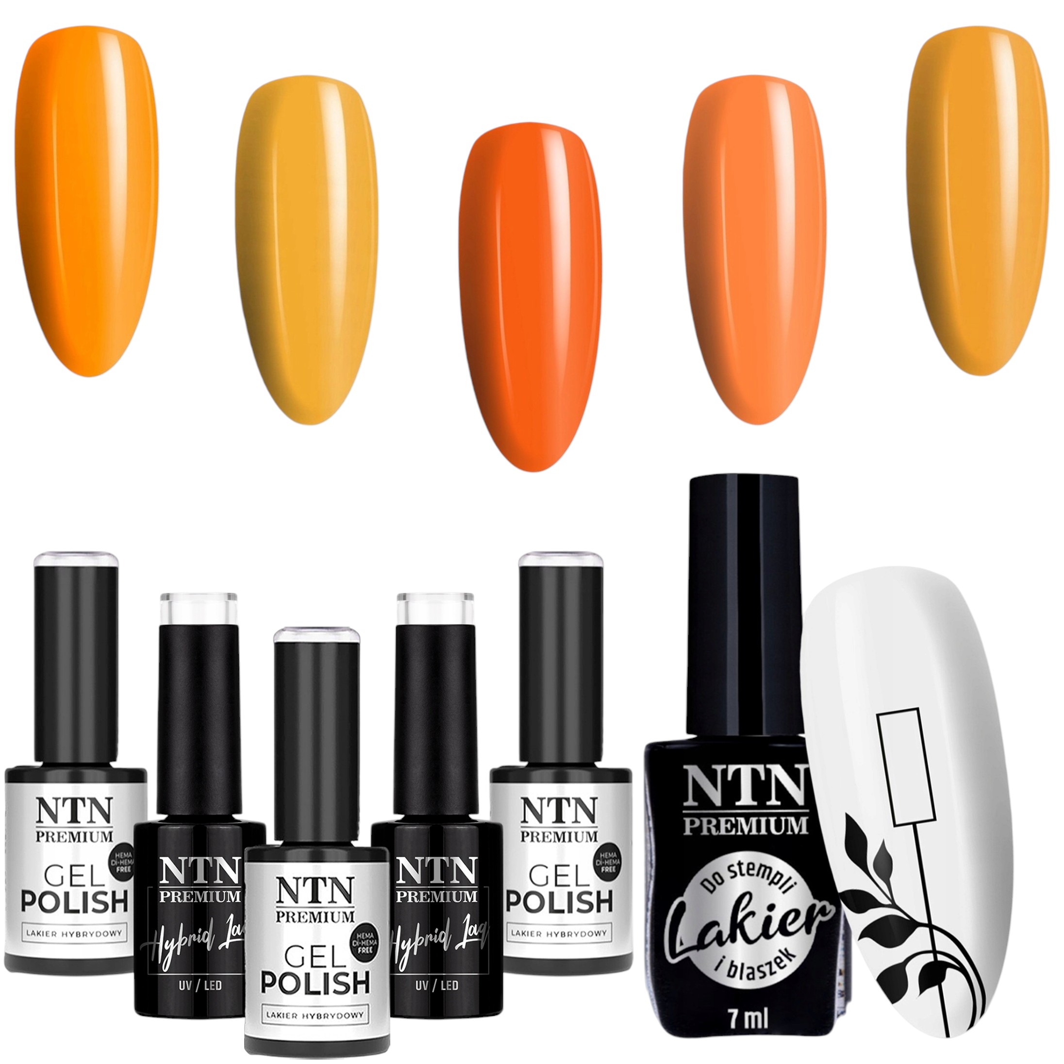 5x Lakier Hybrydowy NTN 5g Dyniowe Halloween Jesień + Lakier Do Stempli Czarny NTN