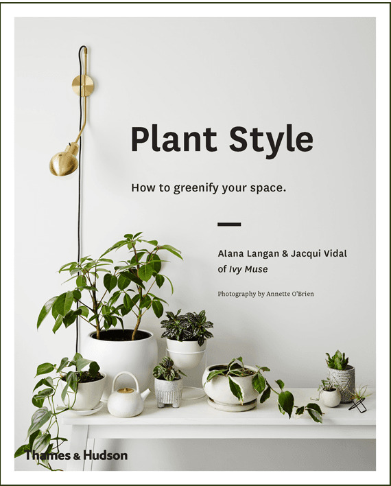 Plant Style. How to greenify your space