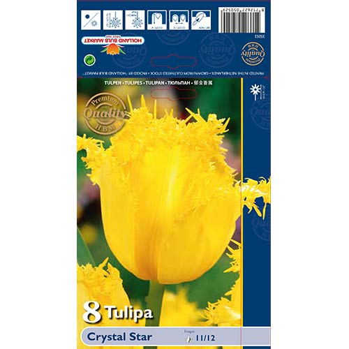 8 cib, Tulipán Crystal Star - : Monžstvo balíkov: 8 cib