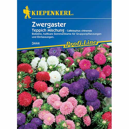 1 szt, Őszirózsa kerti Carpet, mix Kiepenkerl - Magok: Mod de ambalare: 1 db