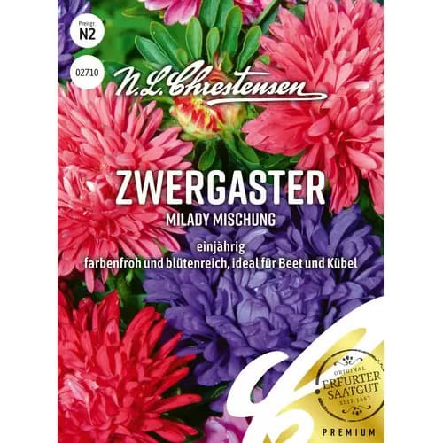 1 szt, Aster karłowy Milady, mix kolorow - Nasiona: Ilość w opakowaniu: 450 szt.