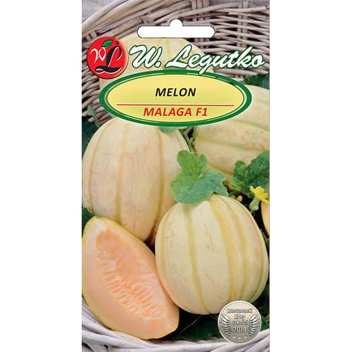 1 szt, Melon Malaga F1 - Nasiona: Ilość w opakowaniu: 0.5 g