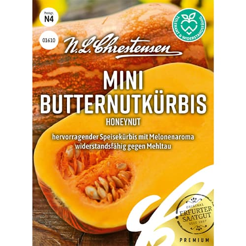 Dynia piżmowa mini Honeynut - Nasiona. Ilość w opakowaniu: 1 opak - GradinaMax