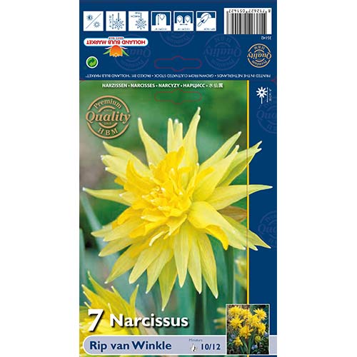 7 cib, Narcis Rip van Winkle - : Monžstvo balíkov: 7 cib
