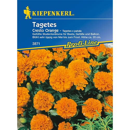 1 szt, Tagetes Cresto Orange - Samen: Ilość w opakowaniu: 1 Stück