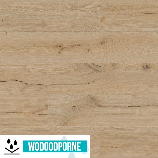 Panele winylowe SPC BARLINEK DĄB PIASKOWY KL 34 6 mm