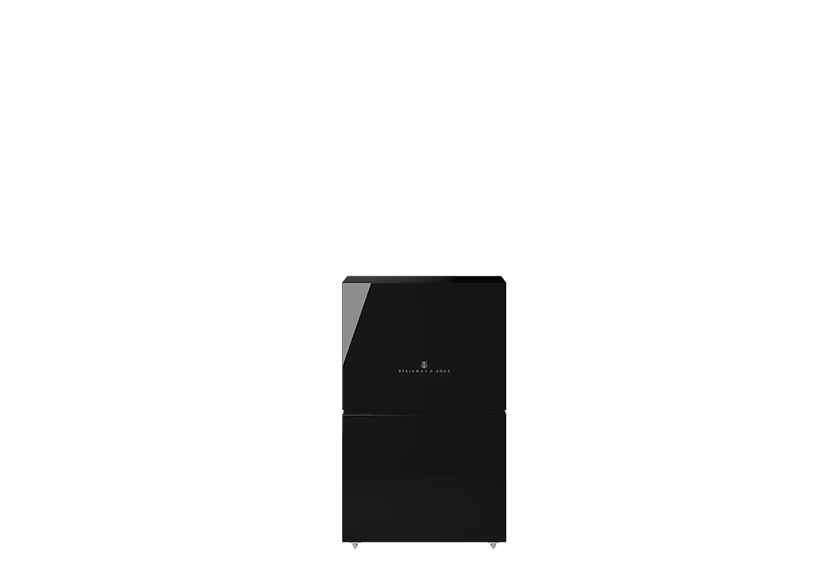 Głośnik steinway & lyngdorf lsr-210