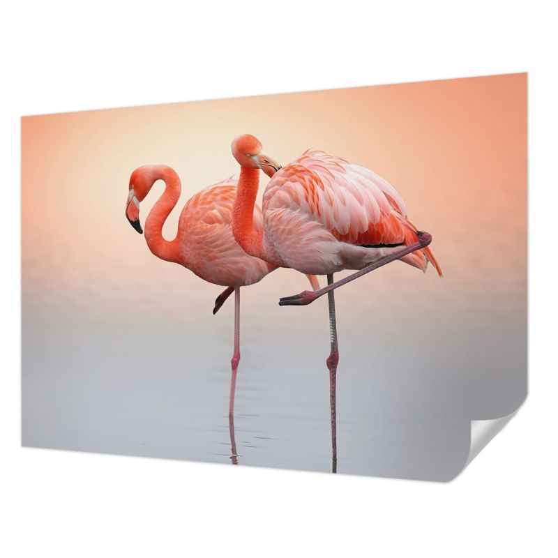 Tapeta Tulup 312x219 cm Samoprzylepna Delikatne flamingi dla miłośników ptaków 1 szt.