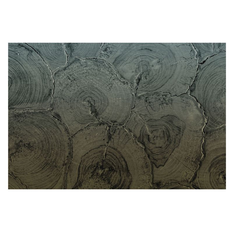Tapeta Wallfluent 104x70 cm Drewniane słoje dla miłośników natury i wzorów organicznych 1 szt.