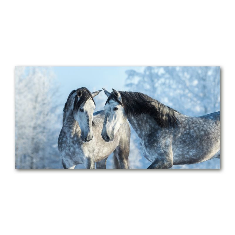 Obraz canvas Tulup Szare konie zima 125x50 cm 1 szt.