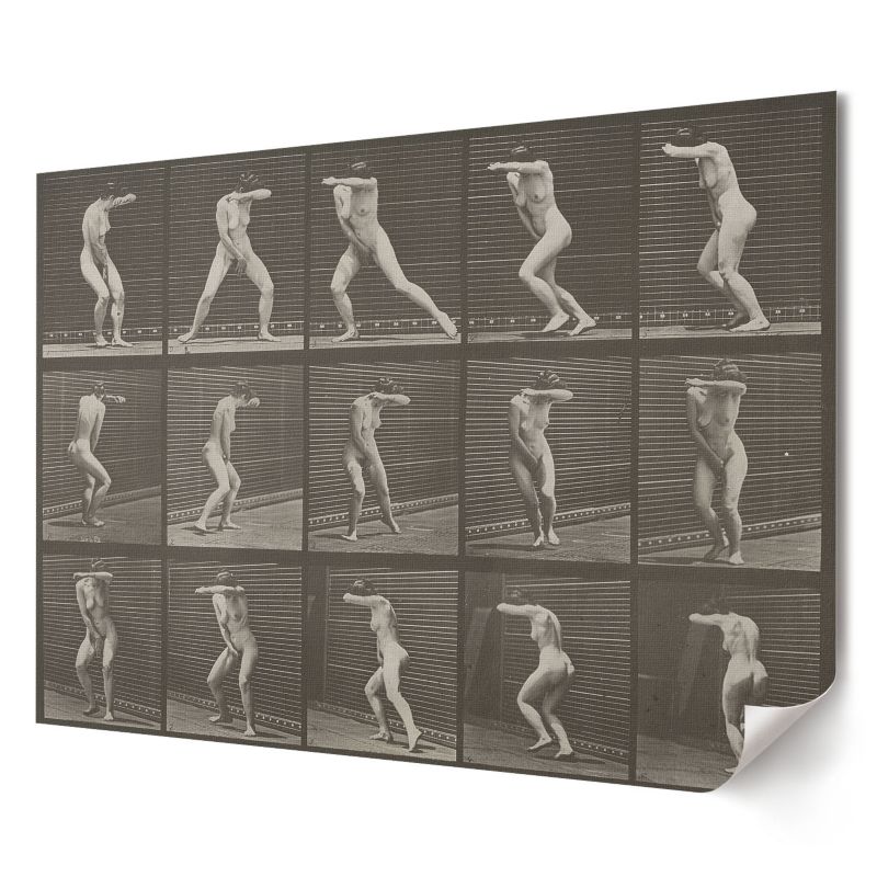 Plakat na płótnie Wallfluent Format A2 Odwrócenie i ucieczka Artysta Eadweard Muybridge 1 szt.