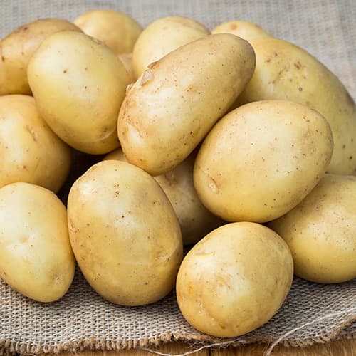 1 kg, Cartofi de sămânță Madeira - Tuberculi: Mod de ambalare: 1 kg