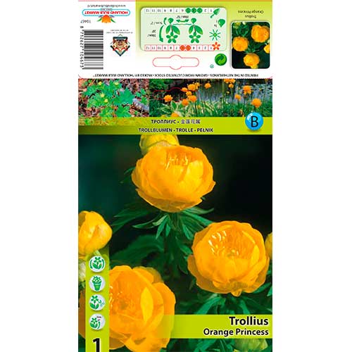 1 db, Zergeboglár (Trollius) Orange Princess - Évelő: Mod de ambalare: 1 db
