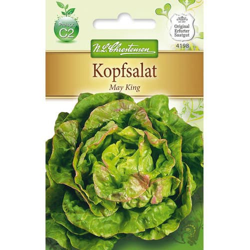 1 szt, Salata glowiasta May King - Nasiona: Ilość w opakowaniu: 500 szt.