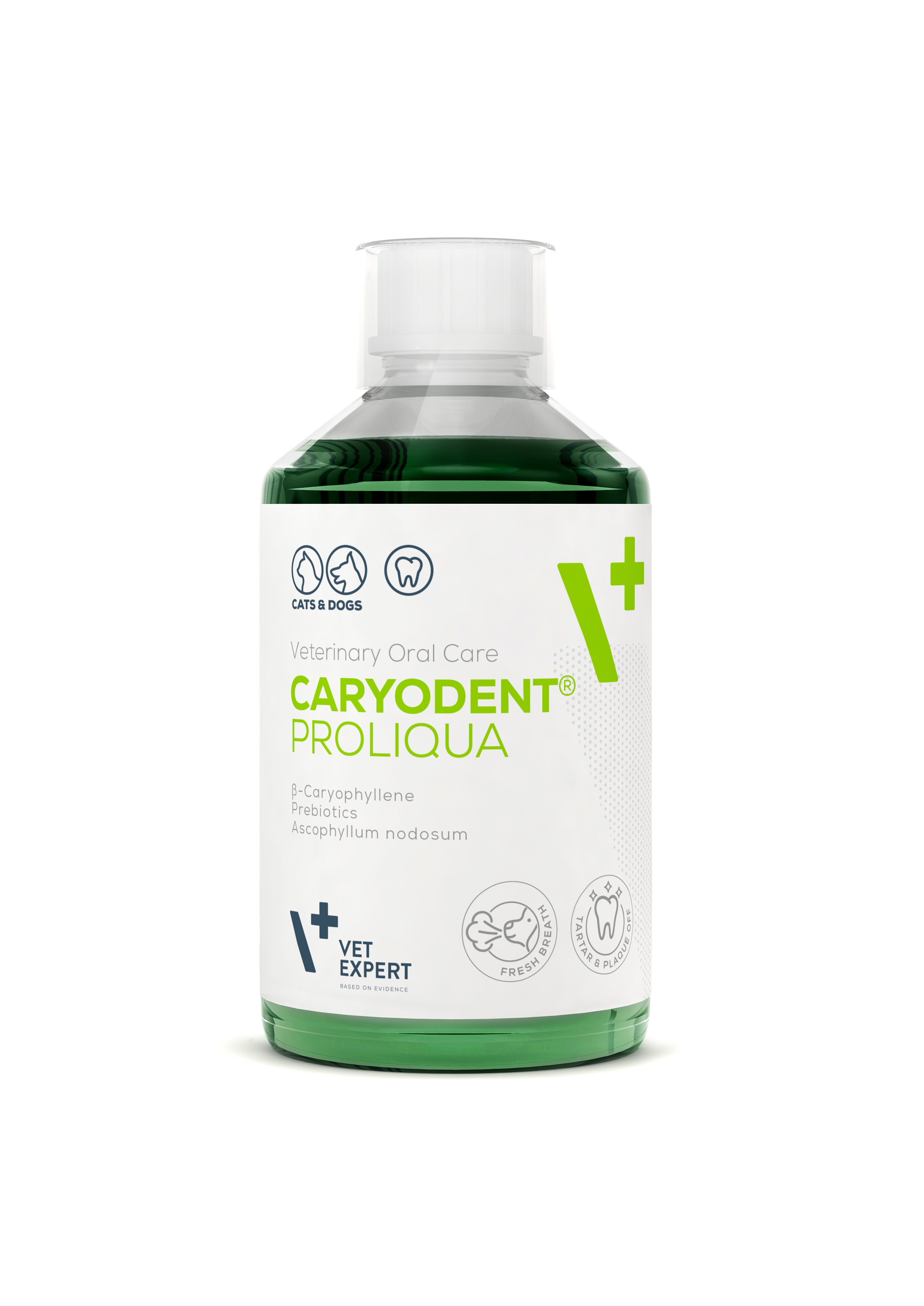Caryodent Proliqua | VET EXPERT | 250 ml | Płyn do wody na higienę jamy ustnej psa i kota