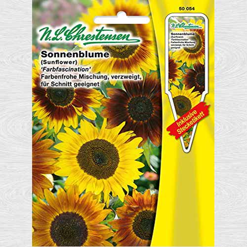 1 pac, Floarea soarelui decorativă Color fascination - Semințe: Mod de ambalare: 1 pac