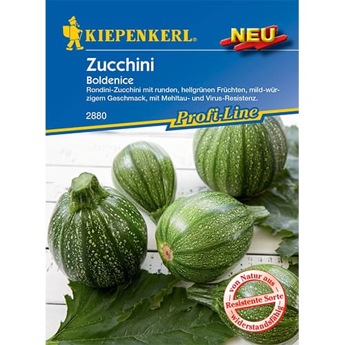 1 szt, Cukinia Boldenice F1 - Nasiona: Ilość w opakowaniu: 7 szt.