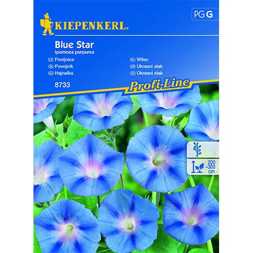 1 pac, Zorele (Ipomea) Blue Star - Semințe: Mod de ambalare: 1 pac