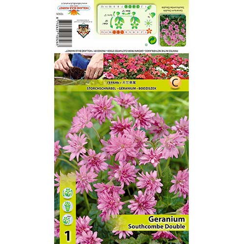 1 db, Gólyaorr (Geranium) Southcombe Double - Évelő: Mod de ambalare: 1 db
