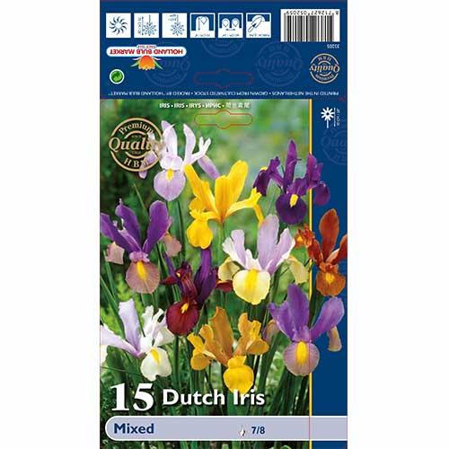 10 Stück, Holländische Iris, farbmischung - Blumenzwiebeln: Ilość w opakowaniu: 10 Stück