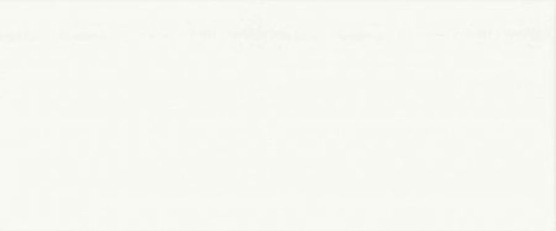 Ceramika Color Oak White płytka ścienna 30x60 cm biały mat