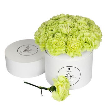 FlowerBox - pistacjowe goździki w pudełku (średni)
