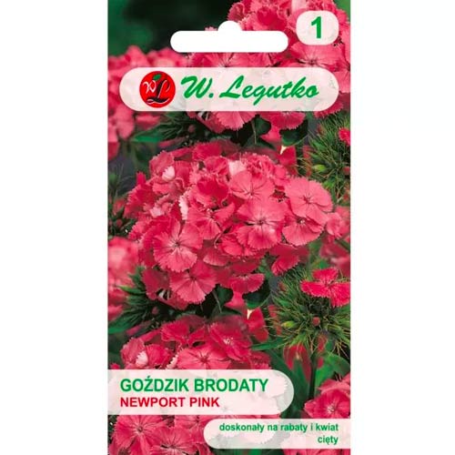 1 szt, Goździk brodaty Newport Pink - Nasiona: Ilość w opakowaniu: 0.5 g
