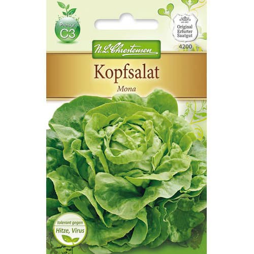 1 szt, Kopfsalat Mona - Samen: Ilość w opakowaniu: 1 Stück