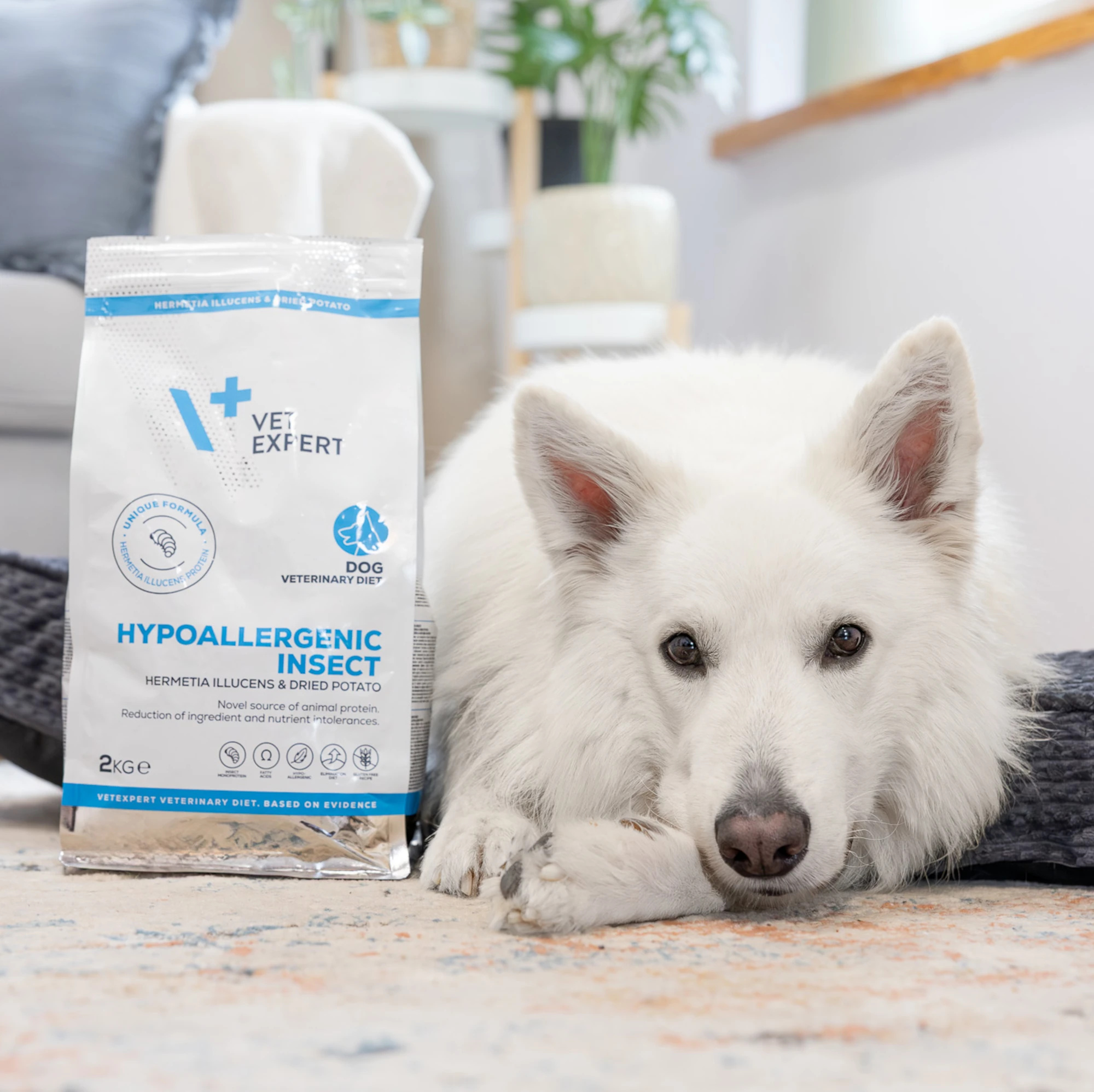 VET EXPERT Hypoallergenic Insect | 2kg | Karma dla Psa Alergika | Sucha