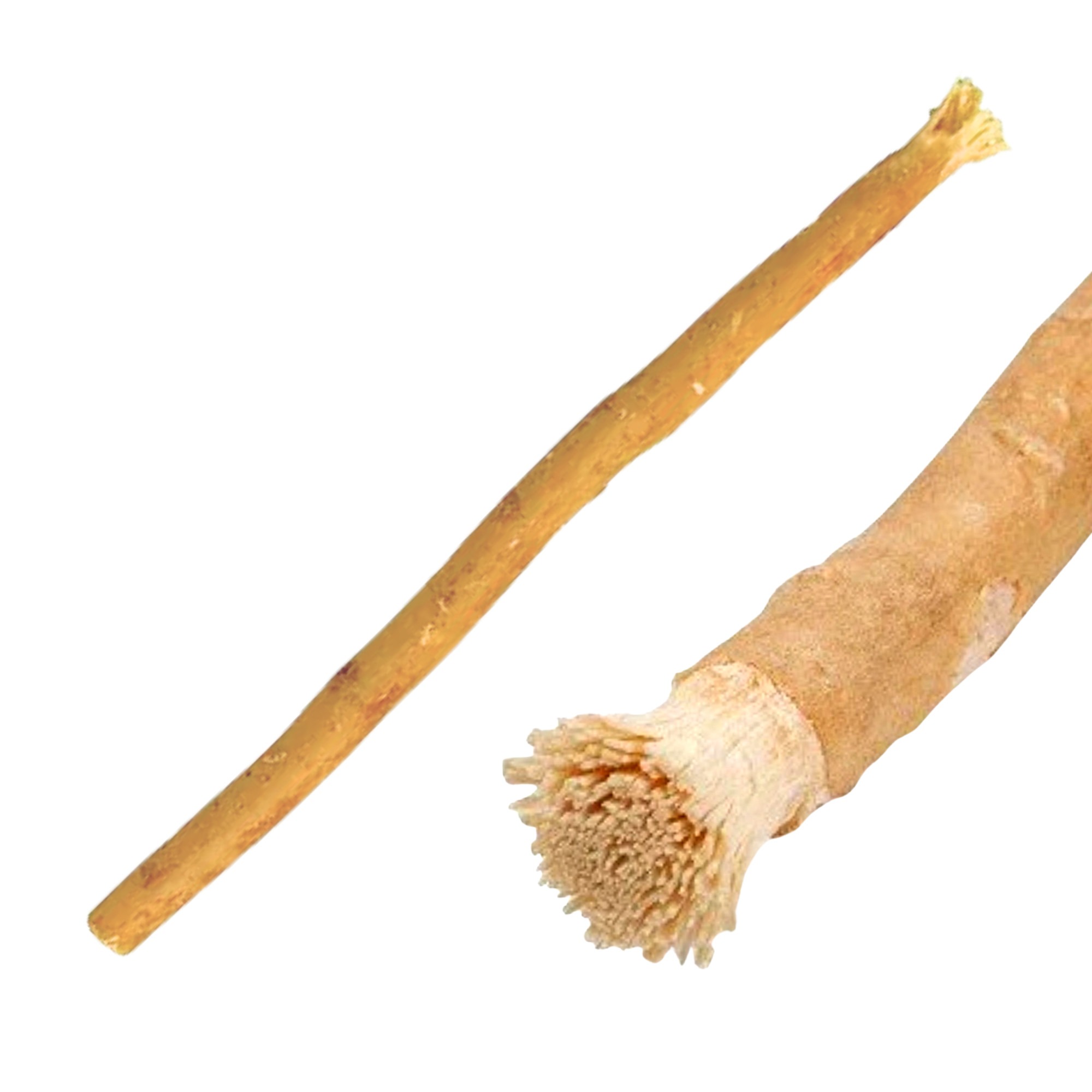 Miswak - patyczek do czyszczenia zębów i dziąseł, naturalna szczoteczka 1 szt.