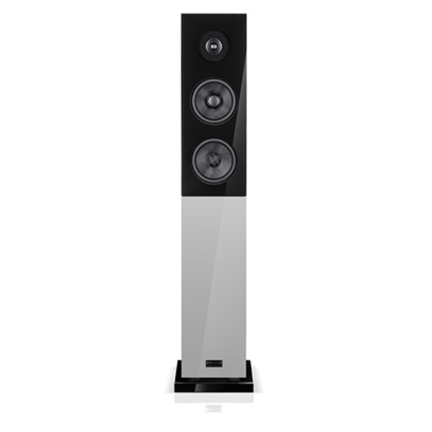 Kolumny podłogowe audio physic classic 15
