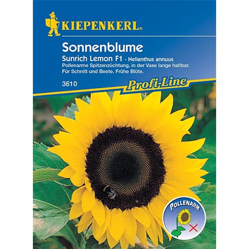 1 ob, Okrasná slunečnice Sunrich Lemon F1 - : Monžstvo balíkov: 1 ob