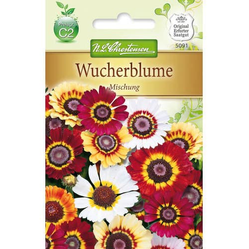 1 szt, Wucherblume Mischung Chrestensen - Samen: Ilość w opakowaniu: 1 Stück