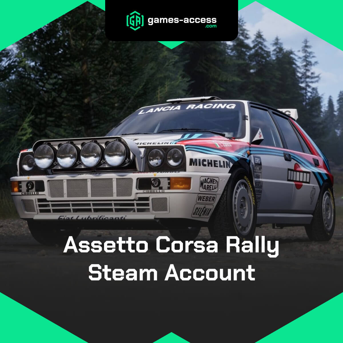 Assetto Corsa Rally PC Steam Account – Offline Access