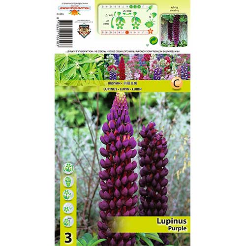 3 buc, Lupin Purple - Bulbi: Mod de ambalare: 3 buc