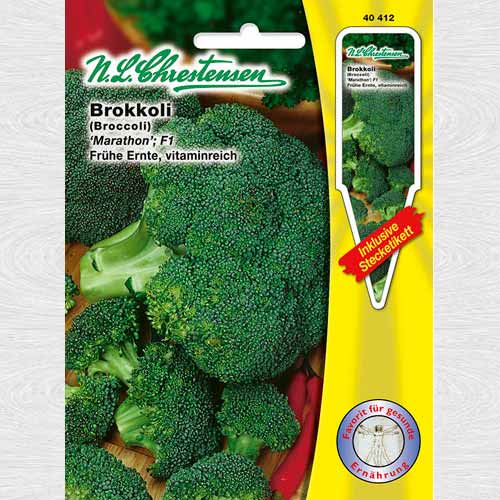 1 pac, Broccoli Maraton F1 - Semințe: Mod de ambalare: 1 pac