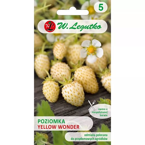 1 szt, Walderdbeere Yellow Wonder (Yellow Cream) - Samen: Ilość w opakowaniu: 0.1 g
