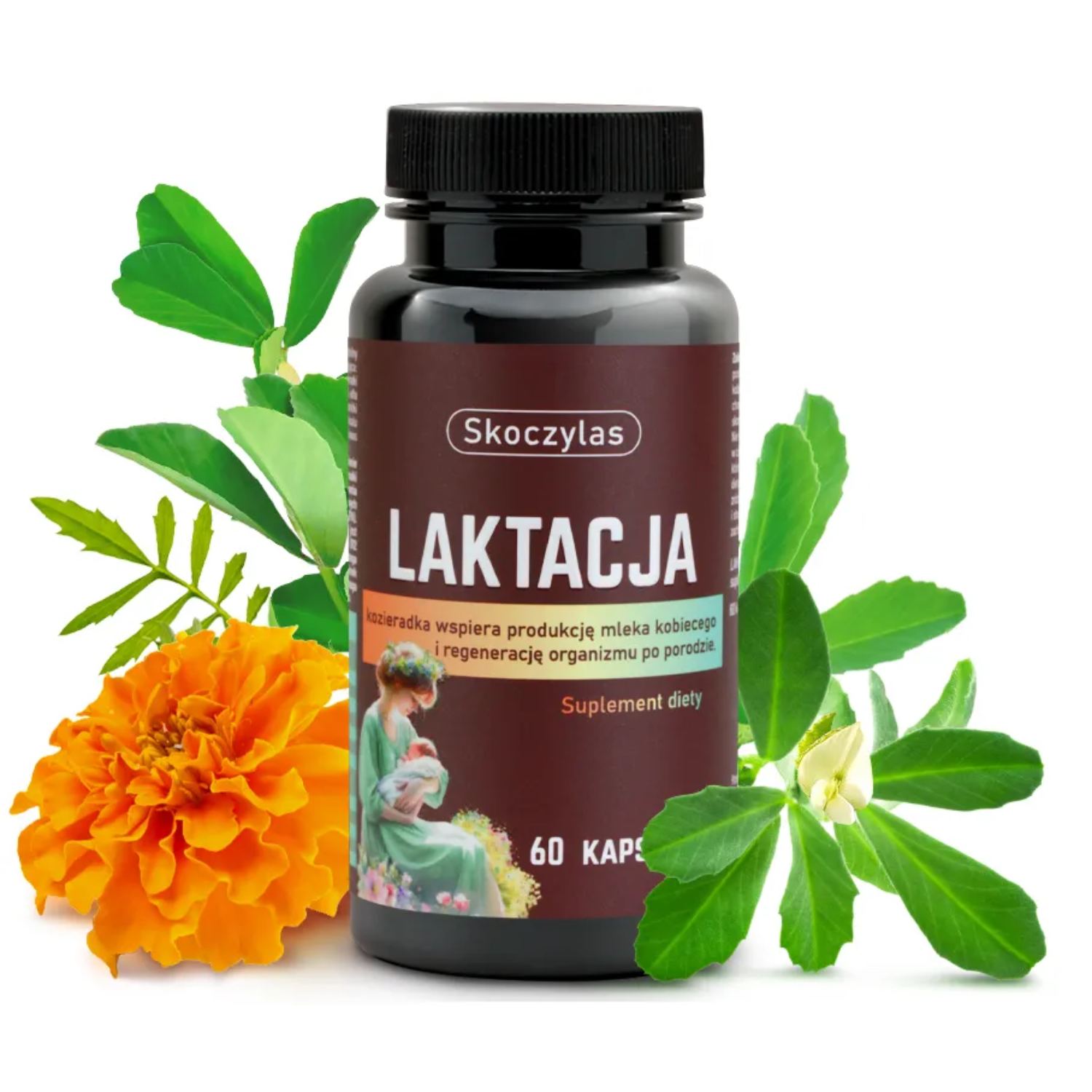 Skoczylas laktacja dla kobiet karmiących, 60 kapsułek