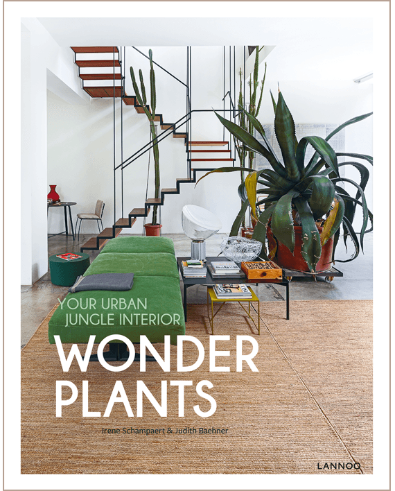 Wonder Plants