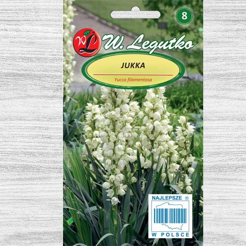 1 szt, Jukka ogrodowa biała Legutko - Nasiona: Ilość w opakowaniu: 0.2 g
