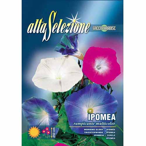 1 pac, Gloria de dimineață urcătoare, mix multicolor - Semințe: Mod de ambalare: 4 g