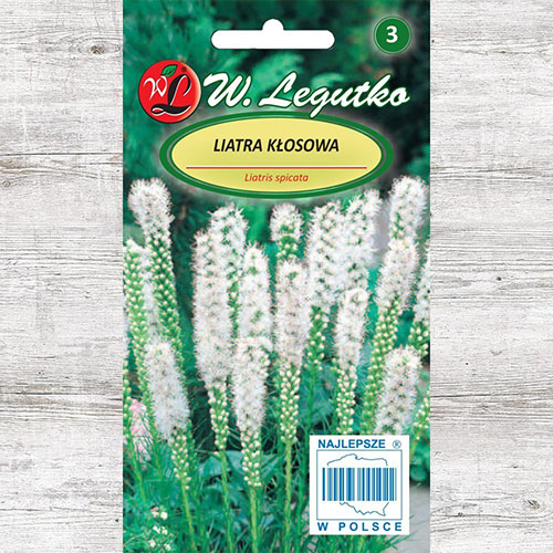 1 pac, Steaua strălucitoare (Liatris spicată) albă Legutko - Semințe: Mod de ambalare: 0.2 g