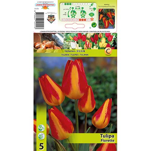 5 kus, Tulipán Florette - : Monžstvo balíkov: 5 kus