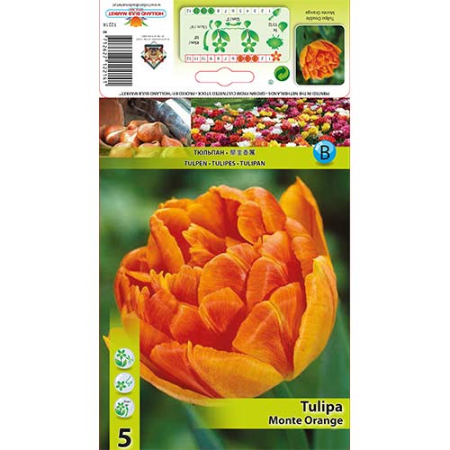 5 kus, Tulipán Monte Orange - : Monžstvo balíkov: 5 kus