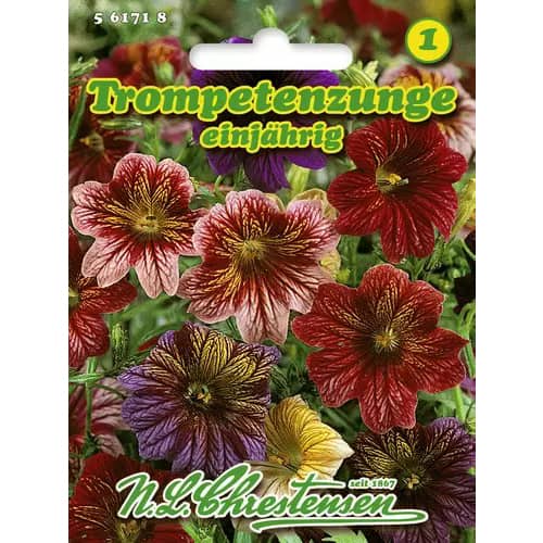 1 szt, Salpiglossis Superbissima, színkeverék - Magok: Mod de ambalare: 1 db