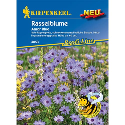 1 szt, Rasselblume Amor Blue - Samen: Ilość w opakowaniu: 1 Stück