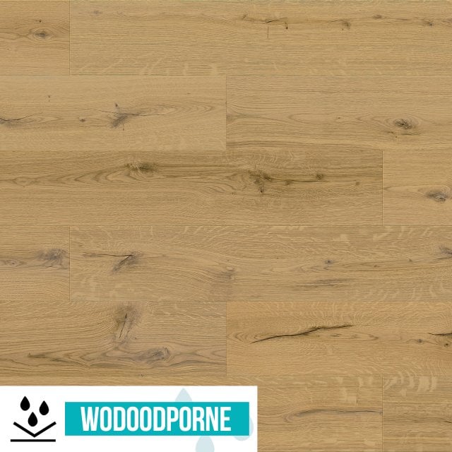 Panele winylowe SPC BARLINEK DĄB MIODOWY KL 34 6 mm