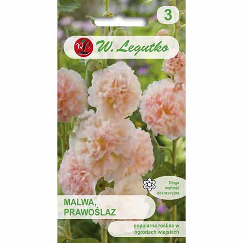 1 szt, Malwa pełna (Prawoślaz) łososiowa Legutko - Nasiona: Ilość w opakowaniu: 0.5 g
