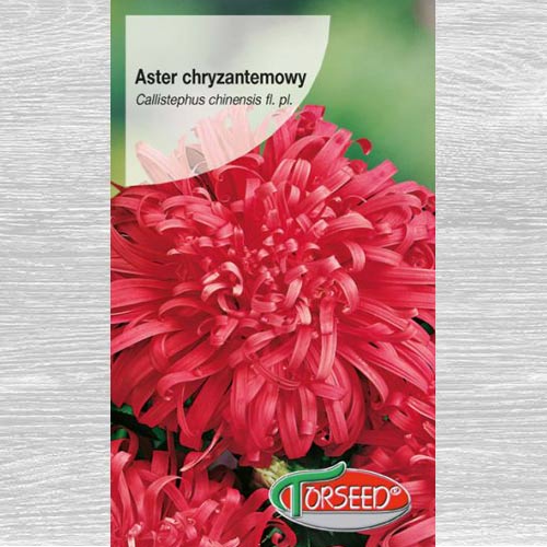 1 szt, Aster chryzantemowy wysoki czerwony - Nasiona: Ilość w opakowaniu: 0.5 g